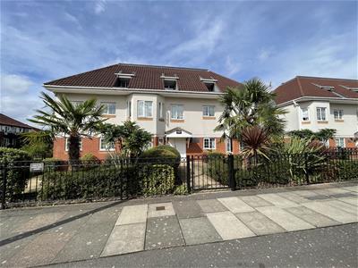 Picture 21
